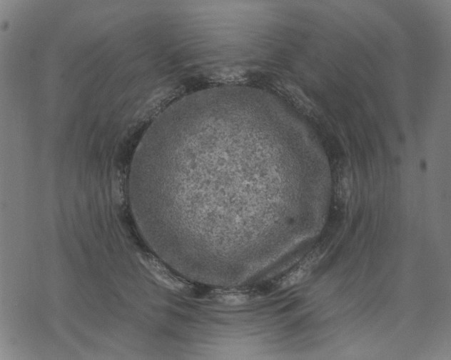 X0000074230658200609081622