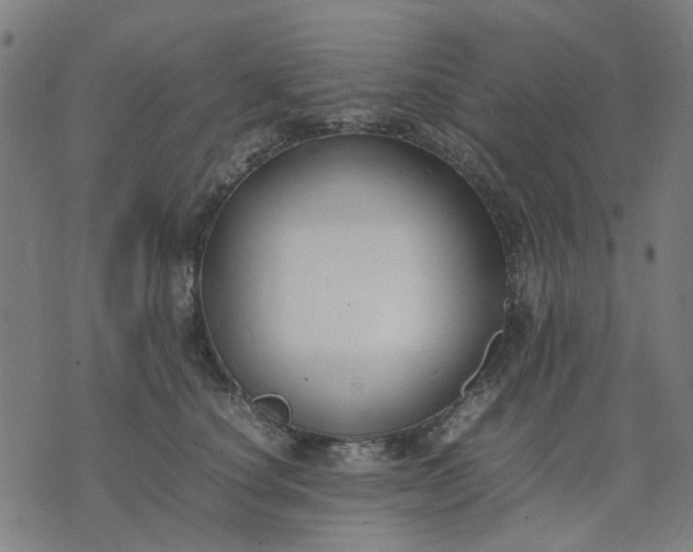 X0000074230660200609081622