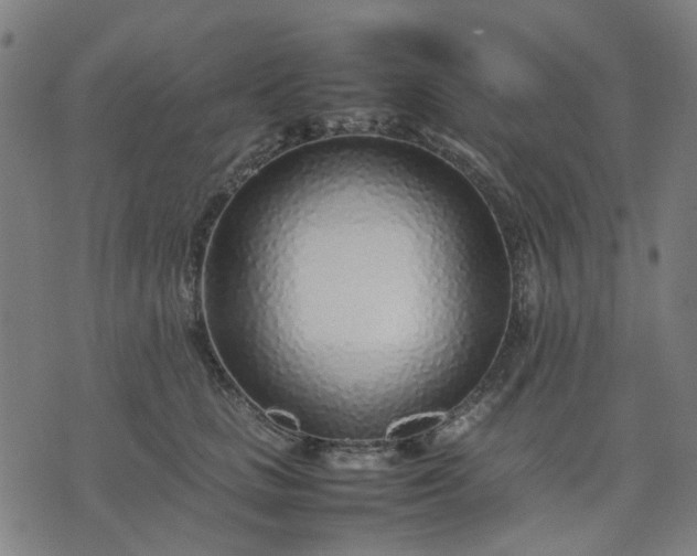 X0000074230661200609081622