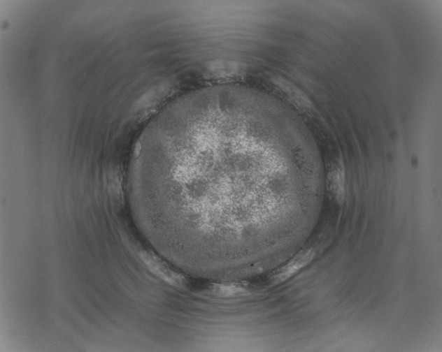 X0000074230662200609081622