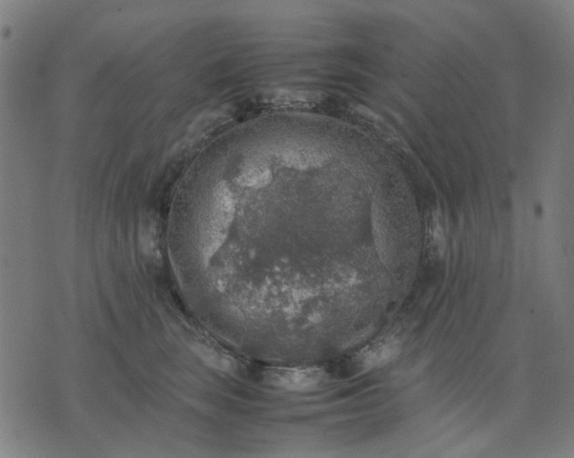 X0000074230663200609081622