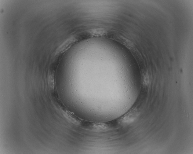 X0000074230666200609081622