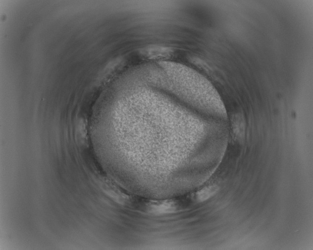 X0000074230667200609081622