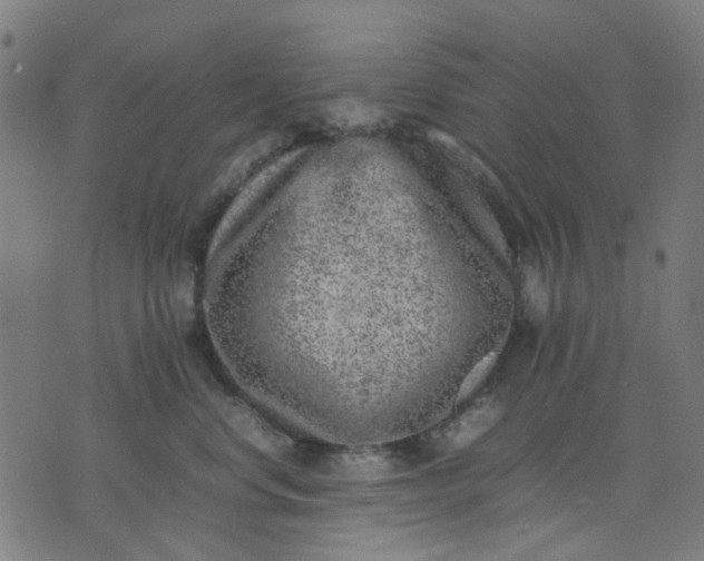 X0000074230668200609081622