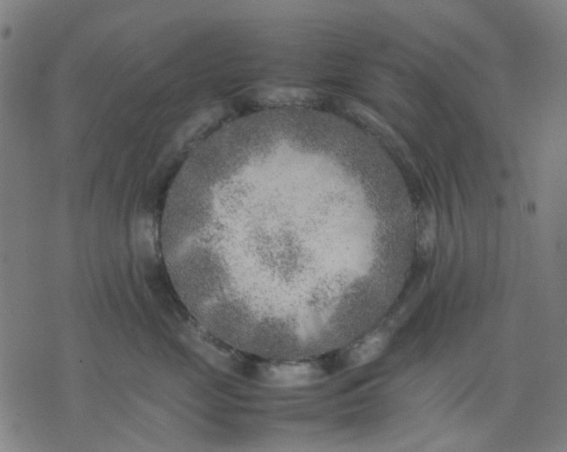 X0000074230669200609081622