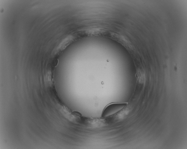 X0000074230670200609081622