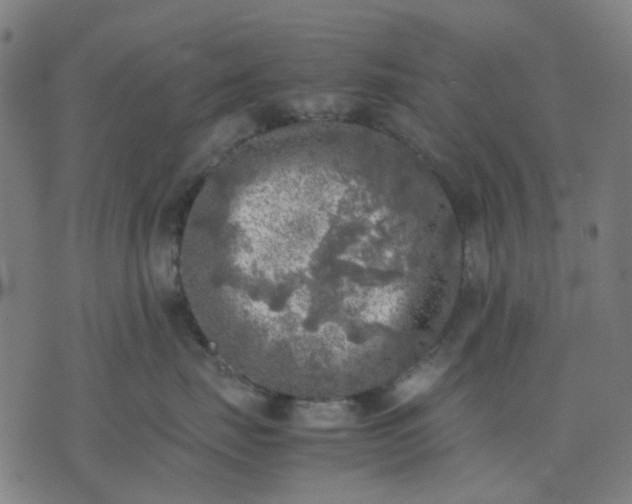 X0000074230671200609081622