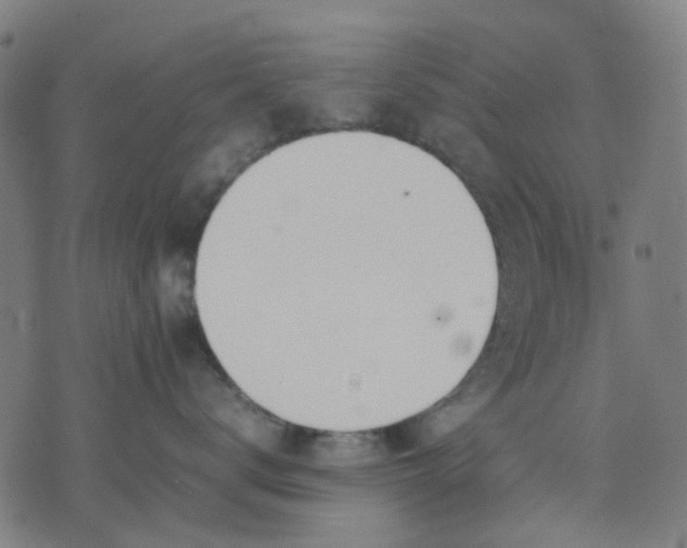 X0000074230672200609081622