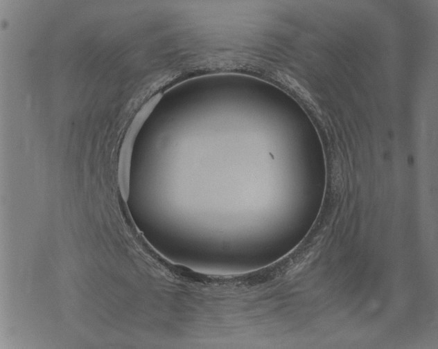 X0000074230673200609081622