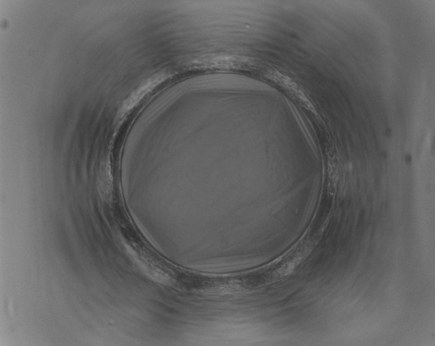 X0000074230674200609081622