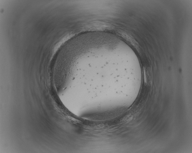 X0000074230675200609081622