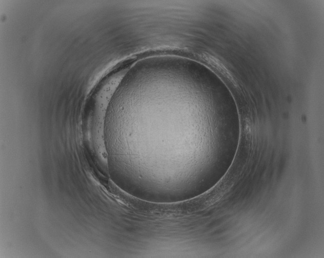 X0000074230676200609081622