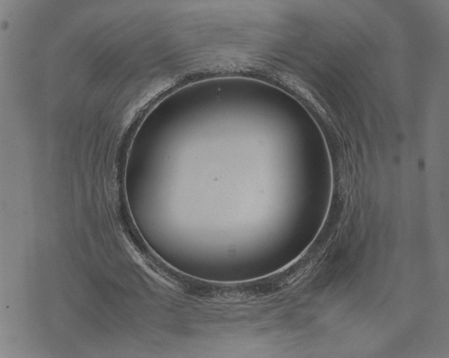 X0000074230677200609081622