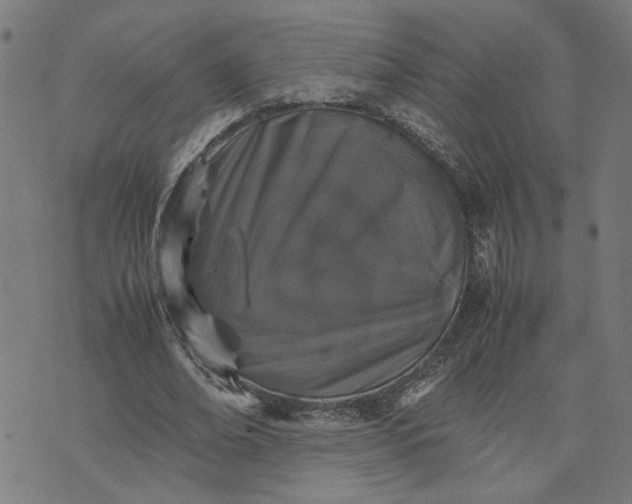 X0000074230678200609081622