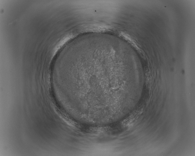 X0000074230679200609081621