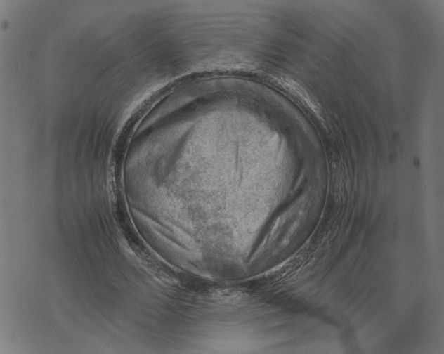 X0000074230680200609081621