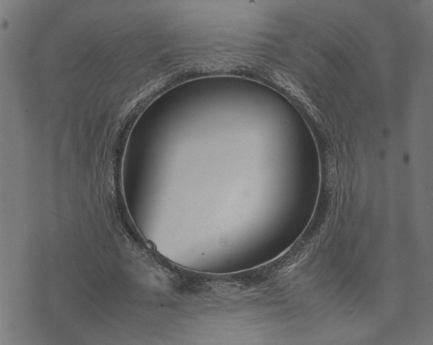 X0000074230681200609081621