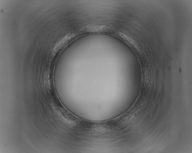 X0000074230682200609081621