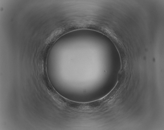 X0000074230685200609081621