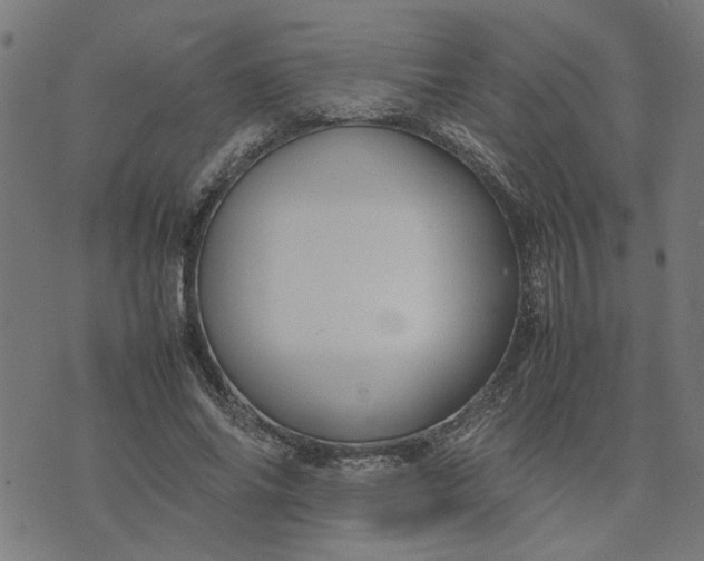 X0000074230686200609081621