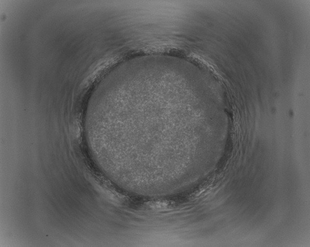 X0000074230687200609081621