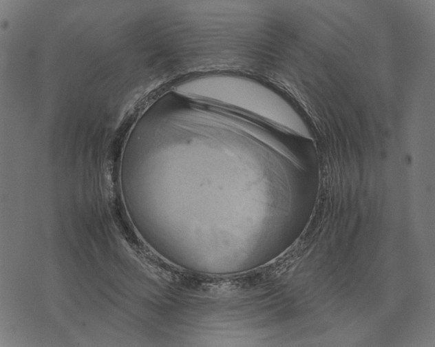 X0000074230688200609081621