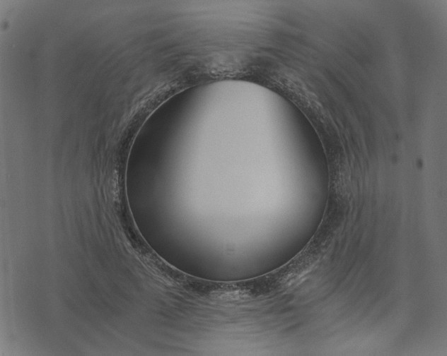 X0000074230689200609081621