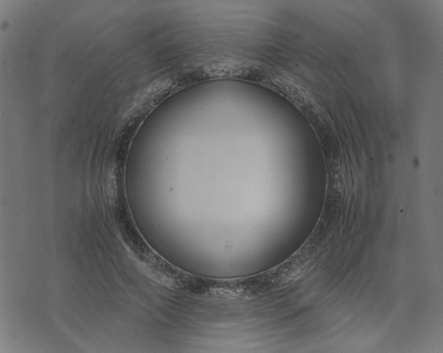 X0000074230690200609081621