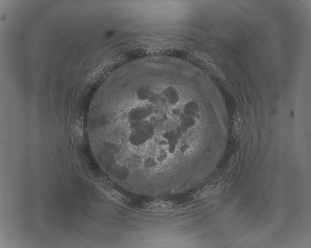 X0000074230691200609081621