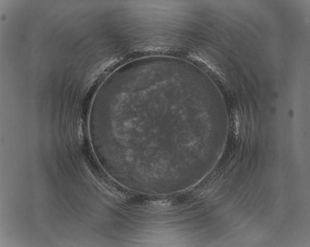 X0000074230692200609081621