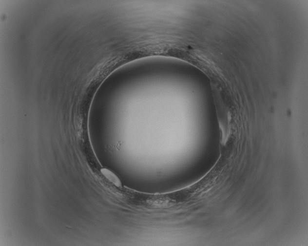 X0000074230693200609081621