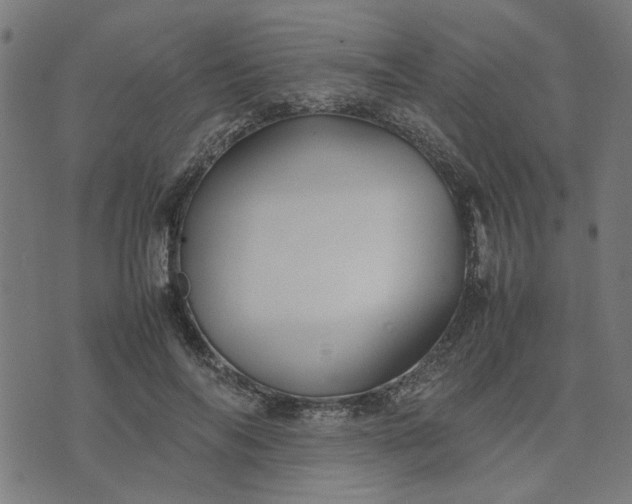 X0000074230694200609081621