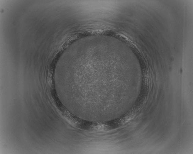 X0000074230695200609081621