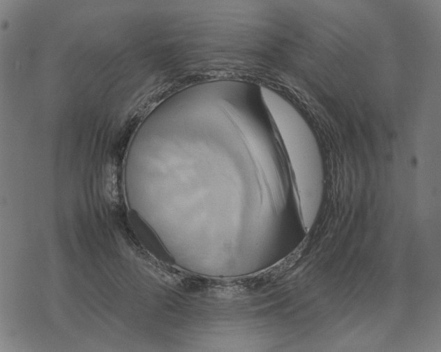 X0000074230696200609081621