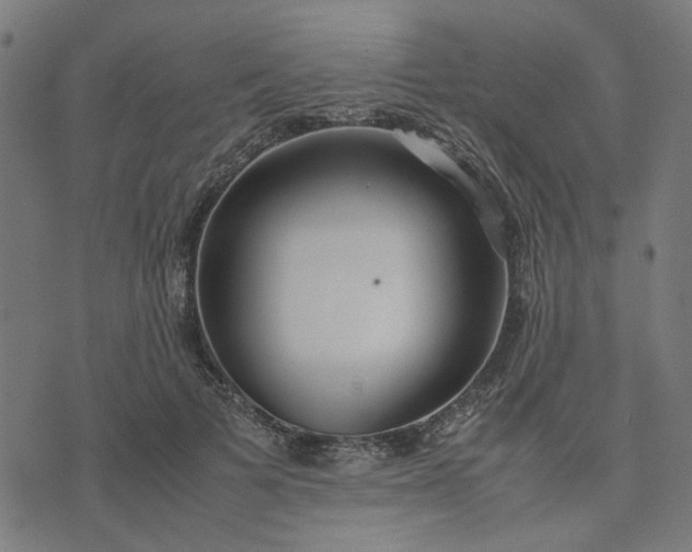 X0000074230697200609081621