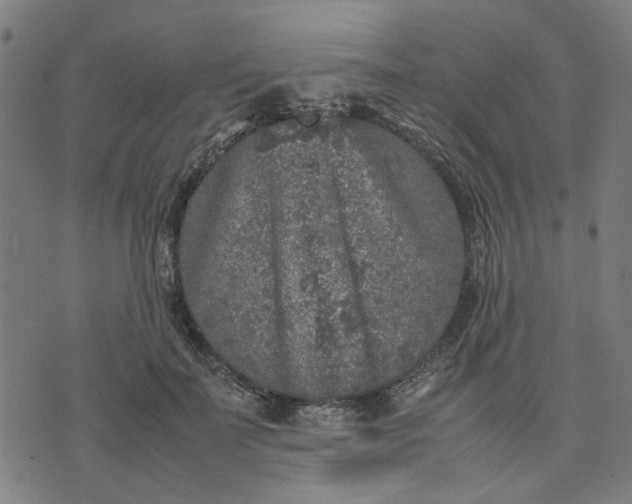 X0000074230699200609081621