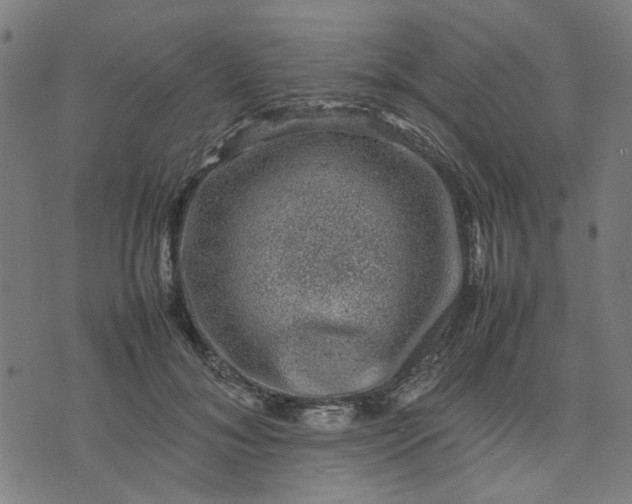 X0000074230700200609081621