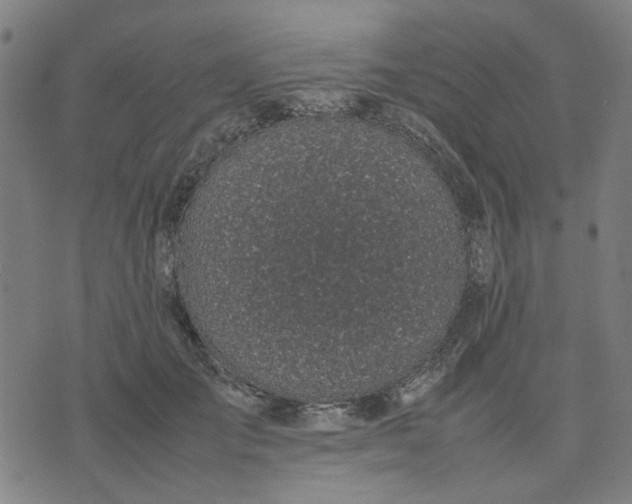 X0000074230701200609081621