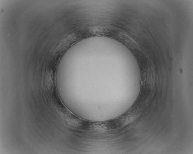 X0000074230702200609081621