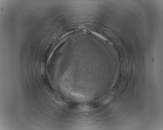 X0000074230704200609081621