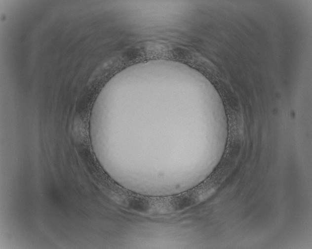 X0000074230705200609081621