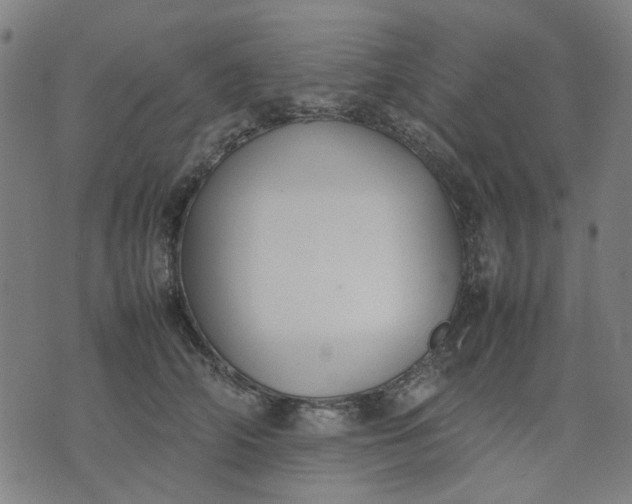 X0000074230706200609081621