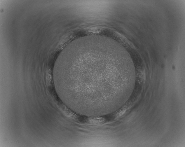 X0000074230707200609081621