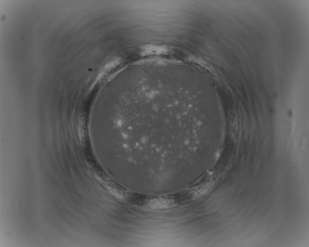 X0000074230708200609081621