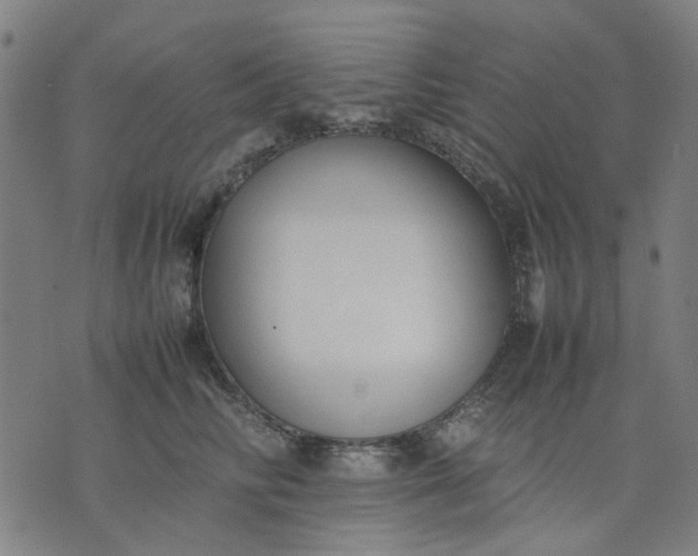 X0000074230710200609081621