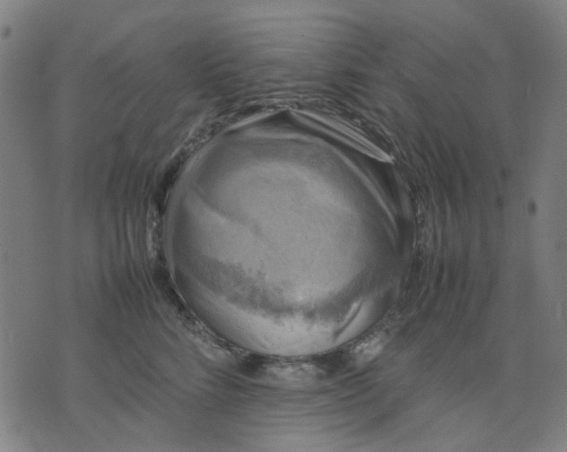 X0000074230712200609081621