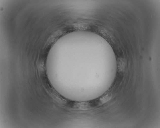 X0000074230713200609081621