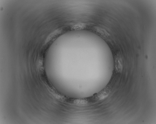 X0000074230714200609081621