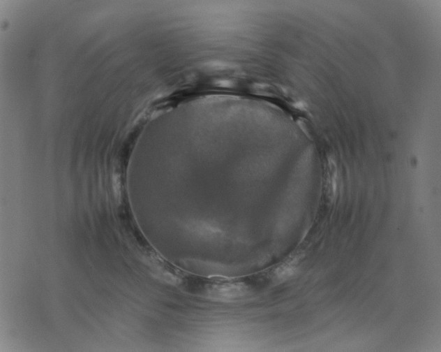 X0000074230716200609081621