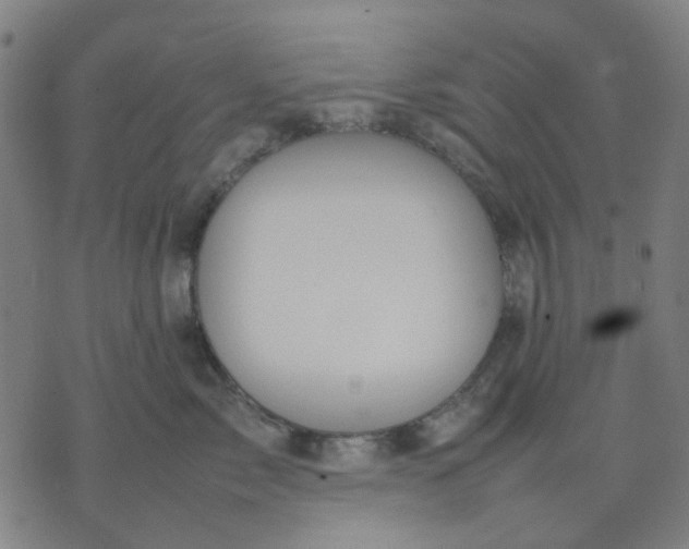 X0000074230717200609081621